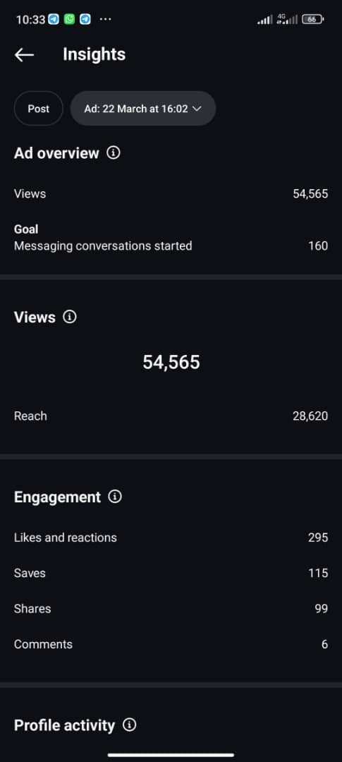 Instagram Messages Campaign campaign result screenshot
